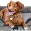 Doggo Large Dog Bed Sofa - Washable Orthopedic Dog Beds and Couch with Removable Flannel Cover, Waterproof Inner Lining - Grey Square Pet Bed (L) 89cm x 64cm x 16.5cm
