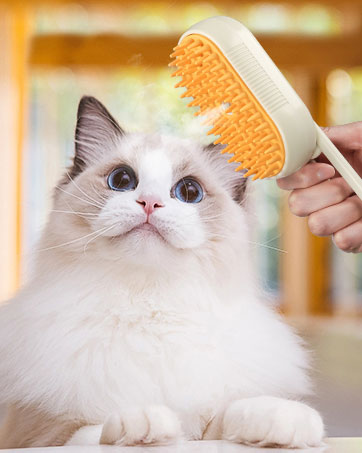 cat brush