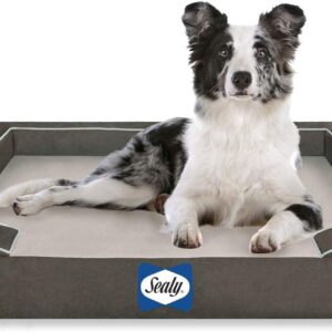 SEALY Lux Pet Dog Bed | Quad Layer Technology with Memory Foam, Orthopedic Foam, and Cooling Energy Gel. Machine Washable Cover. Medium, Modern Gray