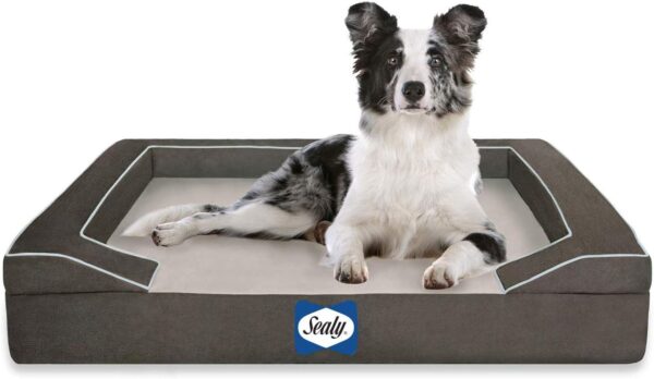 SEALY Lux Pet Dog Bed | Quad Layer Technology with Memory Foam, Orthopedic Foam, and Cooling Energy Gel. Machine Washable Cover. Medium, Modern Gray