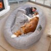 ODOXIA Human Dog Bed for Adults & Furry Friends | Warm & Comfortable Human Sized Dog Bed | Bean Bag Dog Bed | Giant Dog Bed for Humans & Pets | Grey | Blanket Included & Detachable Cover