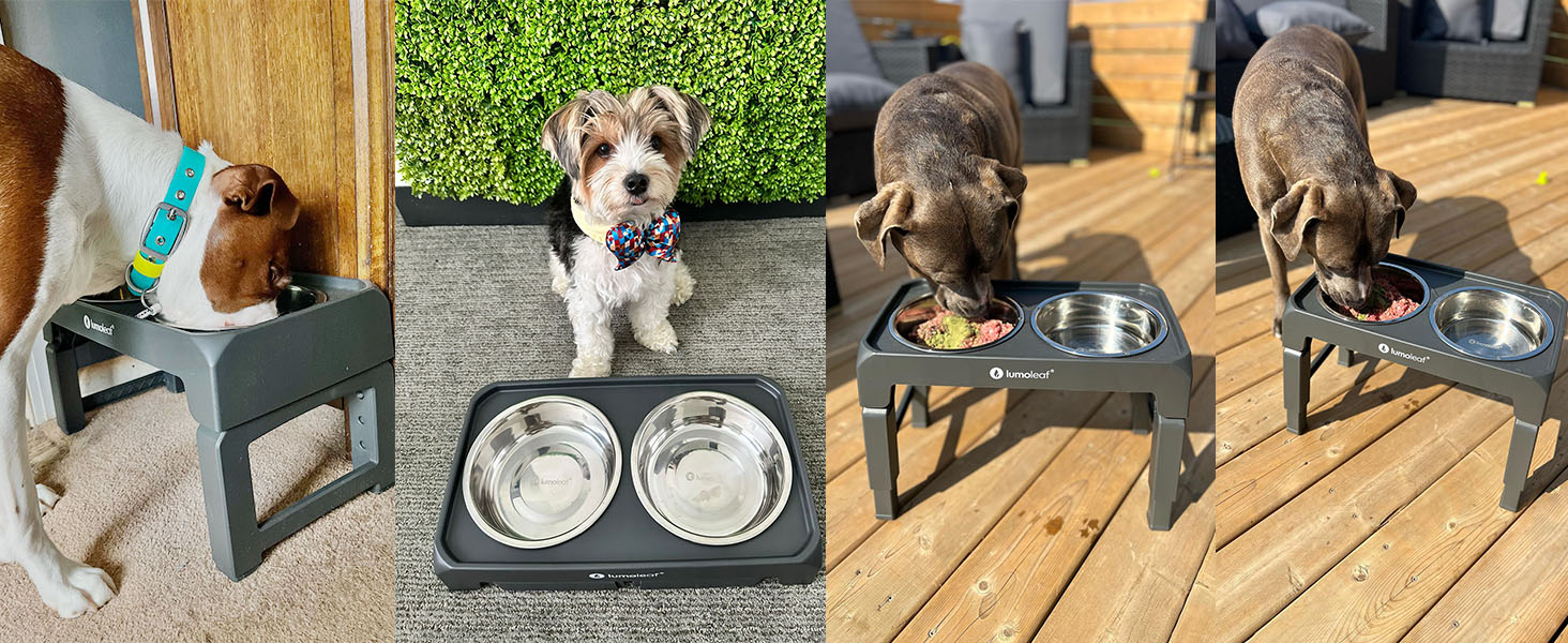 elevated dog bowls raised food bowl large small sized breed dogs adjustable stands tall dog feeder