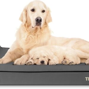 The Dog’s Bed Orthopaedic Headrest Dog Bed XL Grey with Black Trim 117x71x10cm, Waterproof Memory Foam Dog Bed