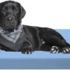 A ATH COLLECTION Waterproof Dog Bed Cushion Orthopaedic Pet Bed and Mattress Indoor Outdoor with Washable & Removable Zipped Cover Gifts for Dog (X Large (122 x 78 x 5cm), Blue)