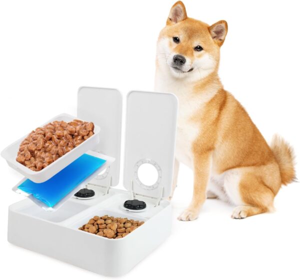 ALL FOR PAWS Automatic Cat Feeder 2 Meal Dog Feeder, Dry and Wet Food Dispenser with 48-Hour Timer, Ice Pack Included, Dishwasher Safe, White