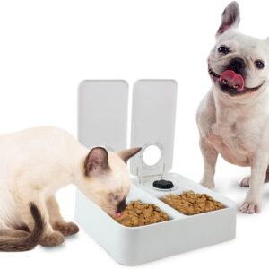 ALL FOR PAWS Automatic Cat Feeder With Timer, 2 Meals Automatic Pet Feeder with Ice Pack, Dry and Wet Cat Food Dispenser with 48-Hour Timer for Dogs and Cats