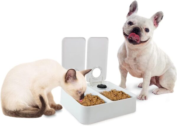 ALL FOR PAWS Automatic Cat Feeder With Timer, 2 Meals Automatic Pet Feeder with Ice Pack, Dry and Wet Cat Food Dispenser with 48-Hour Timer for Dogs and Cats