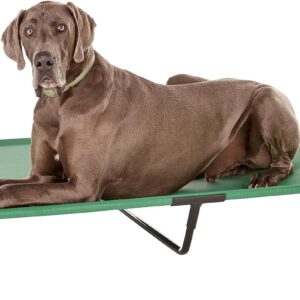 Amazon Basics Cooling Elevated Pet Bed for Dog, XL, Green, 153 x 94 x 23 cm (L x W x H)