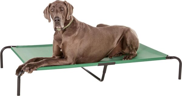 Amazon Basics Cooling Elevated Pet Bed for Dog, XL, Green, 153 x 94 x 23 cm (L x W x H)