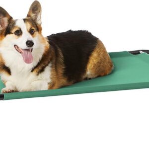 Amazon Basics Cooling Elevated Pet Dog Bed, M, Green, 110 x 65 x 19 cm (L x W x H)