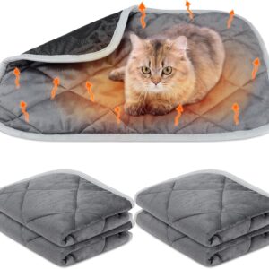 BBTO 4 Pack Self Heating Pet Mat Self Warming Dog Mat Reflects Heat Extra Warm Thermal Pad Washable Dog Cat Bed Crate Bed Mat Blanket for Outdoor and Indoor Pet (Gray, 16 x 20 Inch)