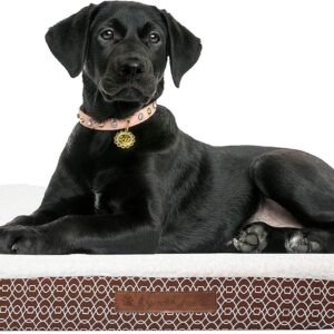 Bogart Gate Medium Orthopedic Pet Bed