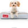 Brindle Shredded Memory Foam Dog Bed with Removable Washable Cover-Plush Orthopedic Pet Bed - 17 x 11 inches - Stone