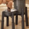 CZPET Dog Bowl Stand, Adjustable Elevated Pet Water & Food Bowl for Cats & Dogs, Stable and Anti-slip Raised Dog Bowl/Water Dispenser