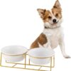 Cat Food and Water Bowl - Tilted Elevated Cat Bowls with Metal Stand - Double Ceramic Puppy Bowl Set - Small Dog Bowls - Raised Cat Feeding Bowl Anti Vomit - Pet Dish for Puppies and Cats - 2 x 480 ml