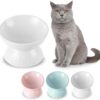 Ceramic Raised Cat Food Bowl - Tilted Elevated Cat Bowl Anti Vomit - 6.1 inch Extra Wide Shallow Cat Feeding Bowls Whisker Friendly - Cat Dishes for Dry Wet Food - Microwave and Dishwasher Safe - 9 oz