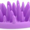Company of Animals CATCH Interactive Cat Slow Feeder, Best Fun Slow Feeder Cat Bowl, Anti-Gulp, Gobble Stopper, Mental Stimulation Cat Puzzle Game, Suitable for Kittens & Small, Medium & Large Cats