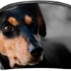 Cosmetic Bags for Women, Makeup Bag Travel Toiletry Bag Accessories Organizer, Black Dog Lovely Animal Pet