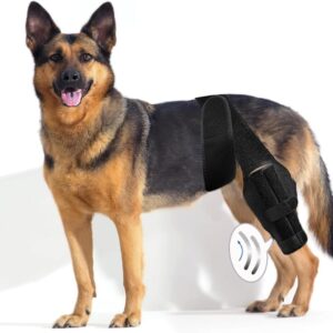 Dlevakve Large Dog Knee Brace for Torn Acl Hind Leg for Support with Cruciate Ligament Injury, Better Recovery with Dog Leg Braces for Back Leg,Adjustable Dog Acl Brace Hind Leg Braces for Back Leg