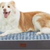Dog Bed Mats for Large Jumbo Big Dog - Orthopedic Dog Pet Durable Crate Bed Mattress of Thick Egg Foam Crate, Rose Plush Washable Cover, Non-Slip Bottom (XXXL(54''x42''x4''), Grey Side)