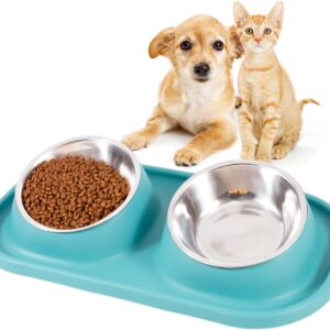 Dog Bowls for Small Dogs & Cats, Pet Dog Bowl with Stainless Steel Dog Bowl Non Slip 15 Degree Tilted Raised Small Cat Double Dog Bowls Puppy Kitty Food and Water Feeding Bowl (Green)