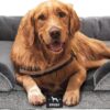 Doggo Extra Large Dog Bed Sofa - Washable Orthopedic Dog Beds and Couch with Removable Flannel Cover, Waterproof Inner Lining - Grey Square Pet Bed (XL) 107cm x 81cm x 16.5cm