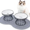 Dorakitten 2 Packs Elevated Cat Bowls with Non-Slip Mat, Anti-Vomiting Raised Cat Food Plates with Metal Stand, Protect Cat’s Spine, Dishwasher Safe Ceramic Cat Dishes, Pet Food Feeding Station