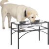 Double Raised Dog Bowl with Stand Stainless Steel Elevated Pet Feeder Dishes Non Spill Water Food Feeding Bowls for Large Dogs (L)