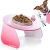 GACMMERC Elevated Dog Bowls, Cat Bowls,Futuristic UFO Style Raised Pet Feeder,Assemble Orthopedic Bowl,Elevated 15°,Durable Acrylic Stand, Easy to Clean, Also Perfect for Travel,Single Bowl