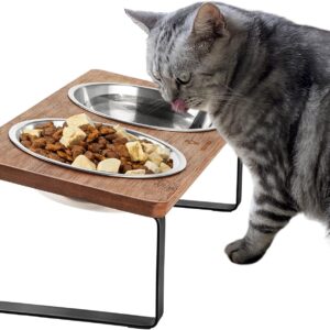 GUUSII HOME Raised Cat Feeding Bowl Station Cat Bowls Tilted Elevated Pet Food Bowl 2 Stainless Steel Bowls Anti Vomiting Indoor Cats Dishes Orthopedic Cat Bowl with Stand Puppy Dog Food Bowl