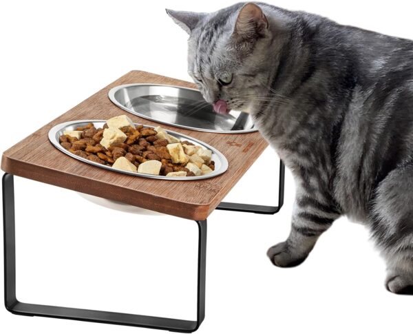 GUUSII HOME Raised Cat Feeding Bowl Station Cat Bowls Tilted Elevated Pet Food Bowl 2 Stainless Steel Bowls Anti Vomiting Indoor Cats Dishes Orthopedic Cat Bowl with Stand Puppy Dog Food Bowl