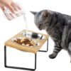 GUUSII HOME Raised Tilted Cat Bowl Cat Feeder Feeding Bowls Cat Dishes Stainless Steel Cat Food Plate Set of 2 Pet Dish Anti Vomiting Indoor with Elevated Bamboo Stand
