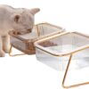 Hamkaw - Double Cat Bowl with Raised Stand, 15° Tilted Anti-Slip Transparent Cat Food and Water Bowl, Protect Pets Cervical Vertebra, Detachable Pet Bowl for Cats and Small Dogs