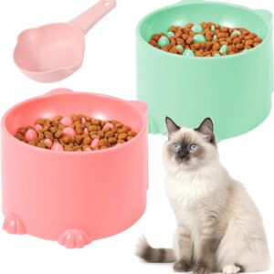 Heyu-Lotus Raised Cat Bowl Cat Bowls with Stand Tilted Elevated Cat Slow Feeder Cat Food Bowls Ergonomic Cat Feeding Bowls Cat Food Water Bowl Cat Dishes Raised Cat Feeder