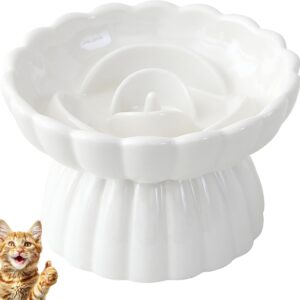 JuWow Ceramic Elevated Slow Feeder Cat and Small Dog Bowl,Anti Vomiting,Easy to Clean,Spill-Proof & Anti-Tipping Raised Pet Bowl for Food (White)