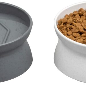 Kitty City Raised Cat Food Bowl Collection/Stress Free Pet Feeder and Waterer and Slow Feed Bowls