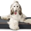 LaiFug Outdoor Waterproof Dog Bed for Small, Medium and Large Dogs - Dog Bed Washable, Jacket Fabric, Egg Orthopedic Foam Pet Dog Bed with Removable Durable Cover and Non-Slip Bottom