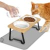 Lnueovcn Raised Cat Bowls 2PCS, 15° Tilted Ceramic Elevated Cat food Bowls for Food and Water, Cat Dog bowls Dish with Bamboo Stand Anti Vomiting for Cats and Puppy, Non-Slip Stand, Dishwasher Safe