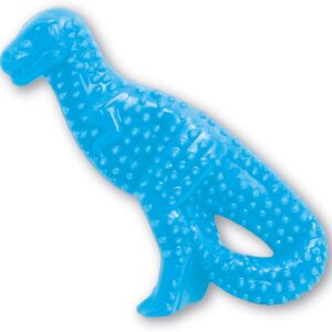 Nylabone Gentle Puppy Dog Teething Dental Dino Chew Toy, Chicken Flavour, Small, for Puppies Up to 11 kg