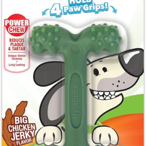 Nylabone Power Chew Textured Dental Chew Toy Ridges & Nubz Chicken Medium (1 Count)