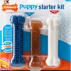 Nylabone Puppy Starter Kit, Pack of 3 Dental Dog Chew Bones, Teething, Gentle, Graduate, Small, for Puppies Up to 11 kg