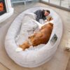 ODOXIA Human Dog Bed for Adults & Furry Friends | Warm & Comfortable Human Sized Dog Bed | Bean Bag Dog Bed | Giant Dog Bed for Humans & Pets | Light Grey | Blanket Included & Detachable Cover