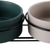 PETTOM Raised Cat Bowls Ceramic Double Cat Food and Water Bowl Set with Steel Stands for Cats and Small Dogs - Anti Vomiting, Spine Protection