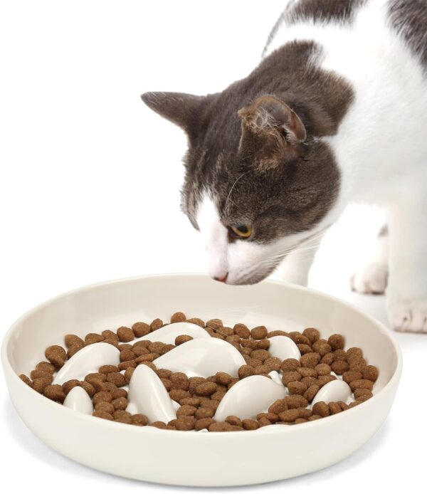 PETTOM Slow Feeder Cat Bowl Raised Rim Spill Proof Slow Eating Cat Bowl for Wet Food/Dry Food, Cat Bowl Slow Feeder Anti Vomiting, Cat Puzzle Feeder Anti-Gulping (Melamine, White)