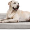 PetFusion BetterLounge Orthopaedic Dog Bed Memory Foam Pet Bed with Waterproof Liner and Removable Cover Comfortable Soft Bed for Dogs- Large (91x71x15 cm)