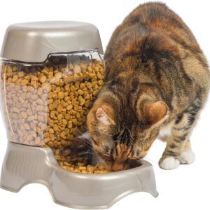 Petmate Pet Cafe Feeder Dog and Cat Feeder Pearlescent Colors 3 Sizes