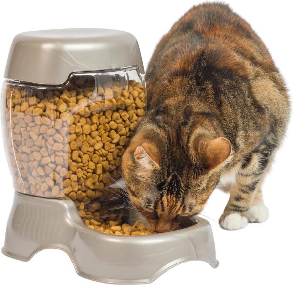 Petmate Pet Cafe Feeder Dog and Cat Feeder Pearlescent Colors 3 Sizes