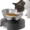 TANGN Raised Cat Feeding Bowl Stainless Steel Cat Food Dish Elevated with Non-Slip Stand, Tilted 15° Anti Vomiting Cat Bowl Designed for Kitten Puppy Pet Whisker Fatigue Dishwasher Safe (Single Bowl)