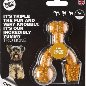 TastyBone TrioBone Nylon Dog Chew Toy for Toy Dogs (Peanut Butter) - Indestructible for Aggressive Chewers, Everlasting Flavour, Strong Healthy Teeth, Made in the UK