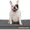 The Dog’s Bed Orthopaedic Dog Bed Small Grey with Black Piping 71x48x5cm, Waterproof Memory Foam Dog Bed